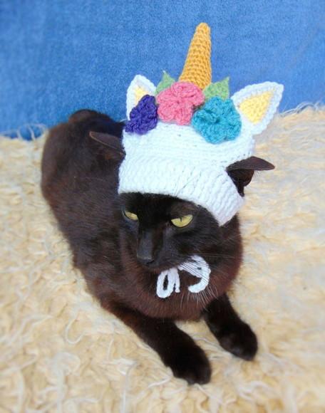 Fantasia Unicórnio para Gato