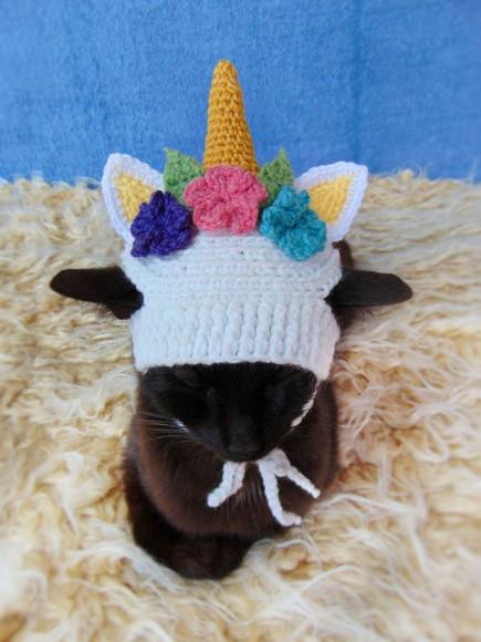 Fantasia Unicórnio para Gato