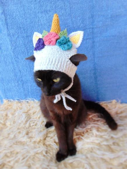 Fantasia Unicórnio para Gato