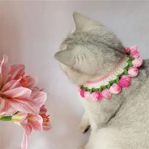 Colar para Gato
