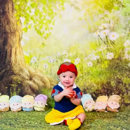 Fantasia Branca de Neve Vestido