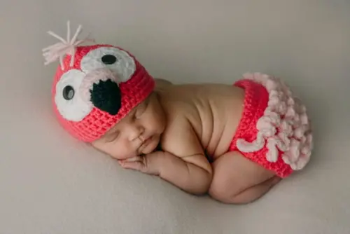 Fantasia Flamingo