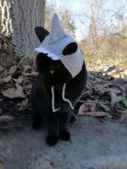 Fantasia para Gato Florzinha