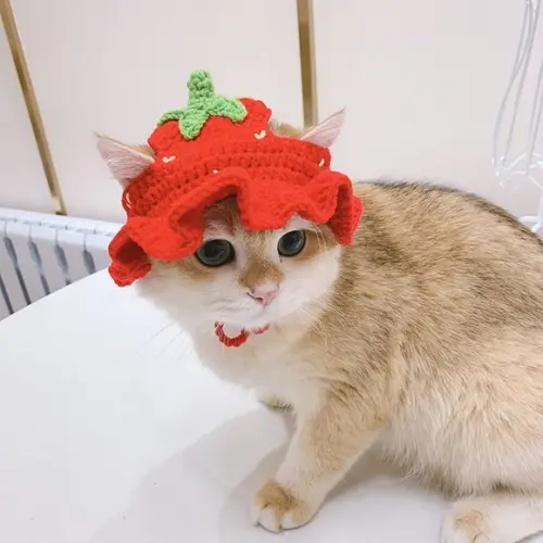 Fantasia para Gato Florzinha