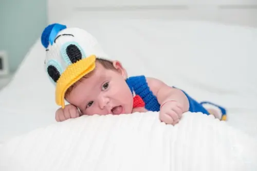 Fantasia Pato Donald em Crochê