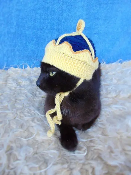Fantasia Rei para Gato