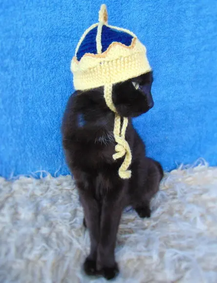 Fantasia Rei para Gato