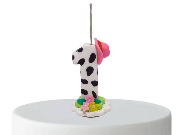 Vela de Aniversário Fazendinha em Biscuit