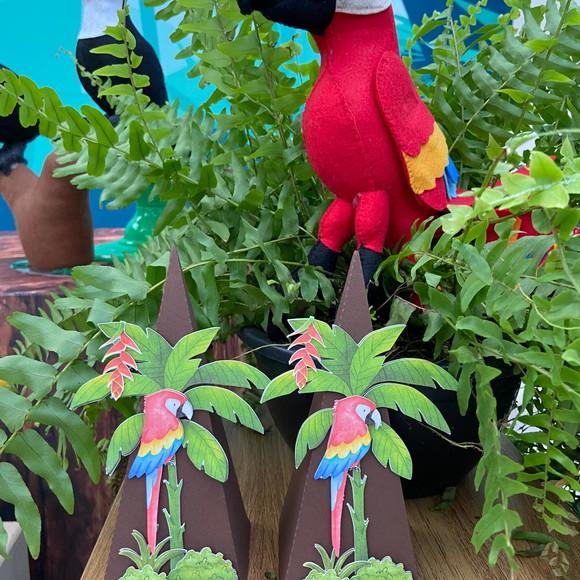 Caixa Cone Personalizada no Tema Amazônia!