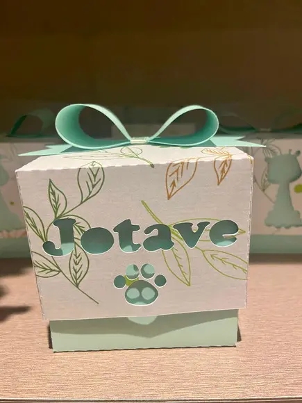 Caixa Cubo para pão de Mel Personalizada no tema Safari!