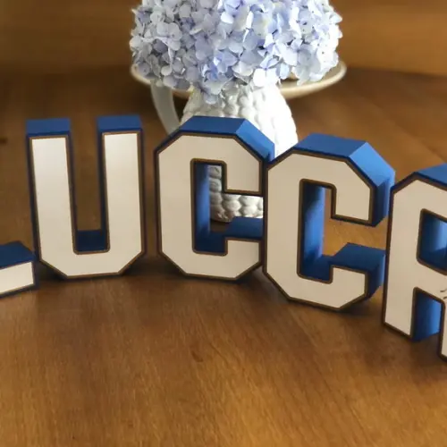 Letras e Números 3D! Personalizado na cor e tema da festa!