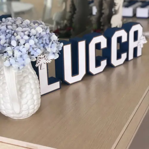 Letras e Números 3D! Personalizado na cor e tema da festa!