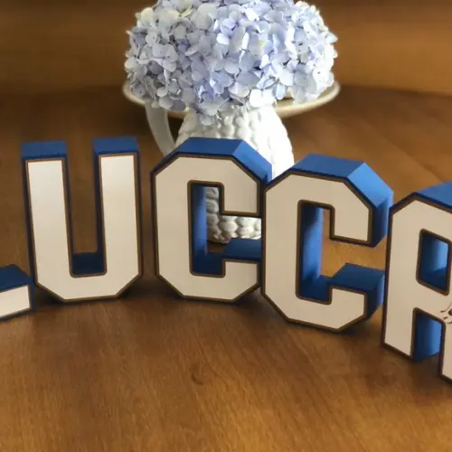 Letras e Números 3D! Personalizado na cor e tema da festa!