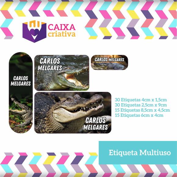 Kit Etiquetas Adesivas - Crocodilo