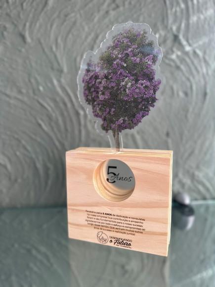 Troféu Homenagem Anos Trabalhados