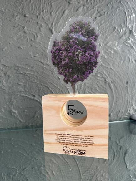 Troféu Homenagem Anos Trabalhados