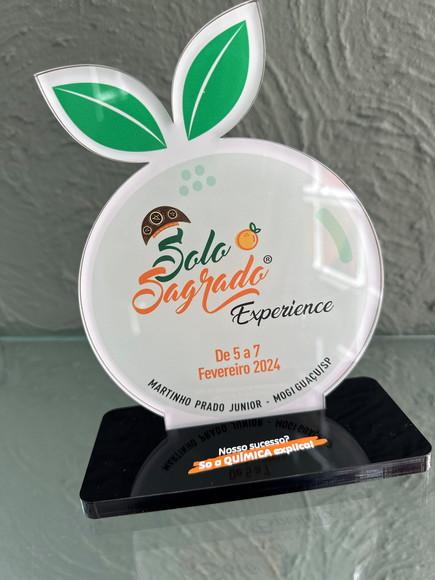 Troféu Homenagem em Acrílico
