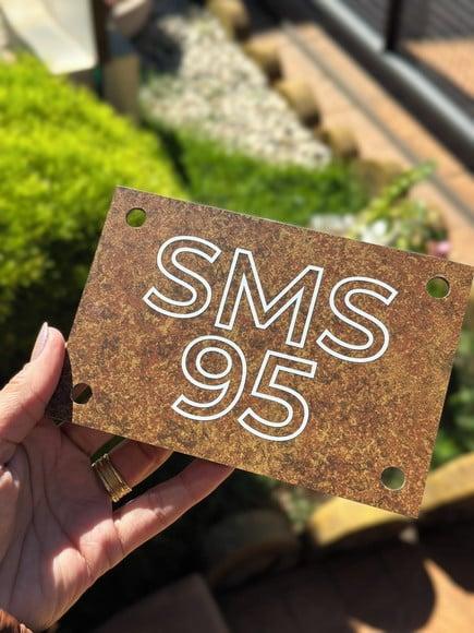 2 Algarismo Personalizado 50cm x 23,5cm + 1 Placa 15x 10cm