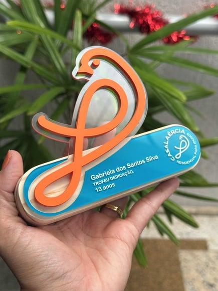 Troféu de Homenagem em Acrílico e Pinnus