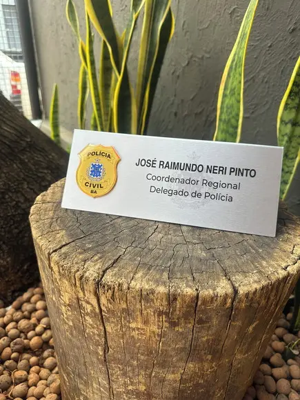 Placa de Identificação Delegado - Inox 25x10