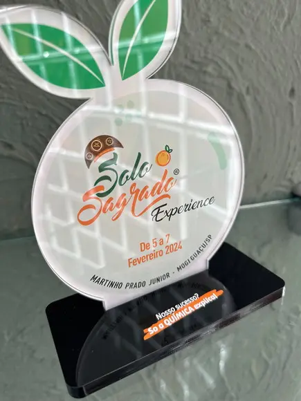 Troféu Homenagem em Acrílico