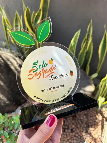Troféu Homenagem em Acrílico