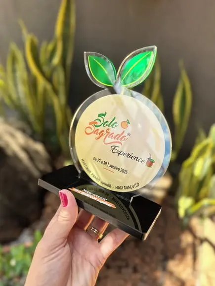 Troféu Homenagem em Acrílico