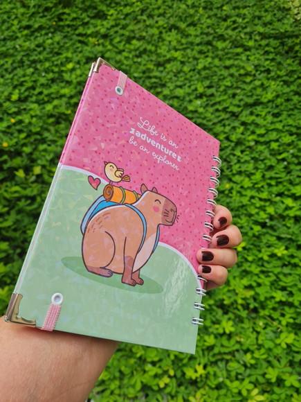 Caderneta de Saúde Adolescente - Capivara