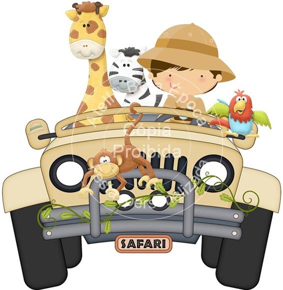 Painel Safari