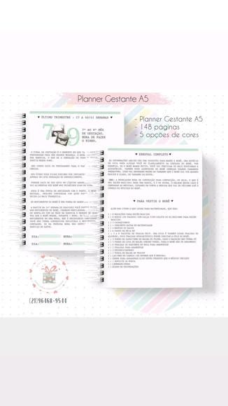Planner Gestante