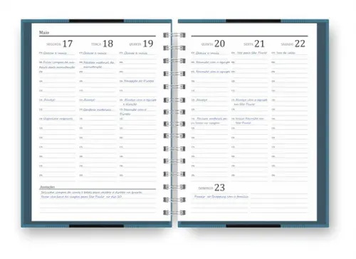 Agenda Personalizada 2025