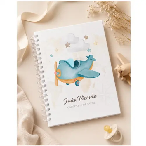 Caderneta de Vacinação Infantil Personalizada - Avião Azul