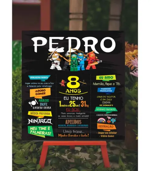 Painel de Aniversário - Lego Ninja Go