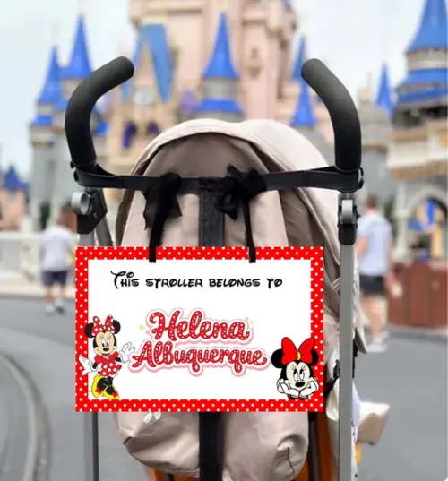 Placa para Carrinho Disney 2026 Personalizada com Nome
