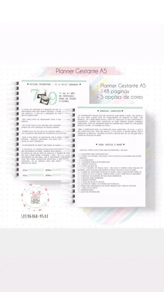Planner Gestante
