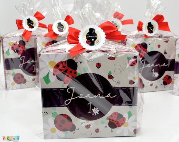 Kit pintura com maleta em cartonagem - Joaninha