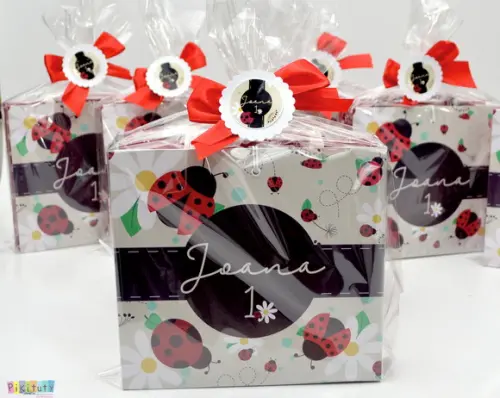 Kit pintura com maleta em cartonagem - Joaninha