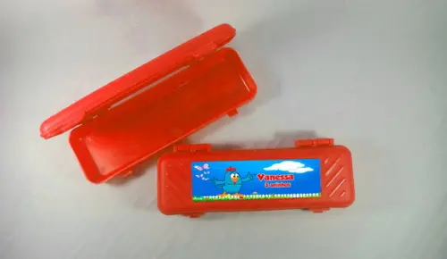 Estojo Escolar Personalizado da Galinha Pintadinha