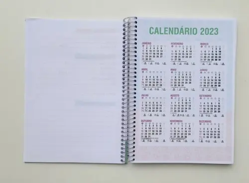 Agenda Escolar Personalizada Volta as Aulas
