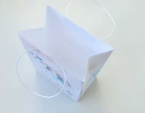 Sacola de Papel