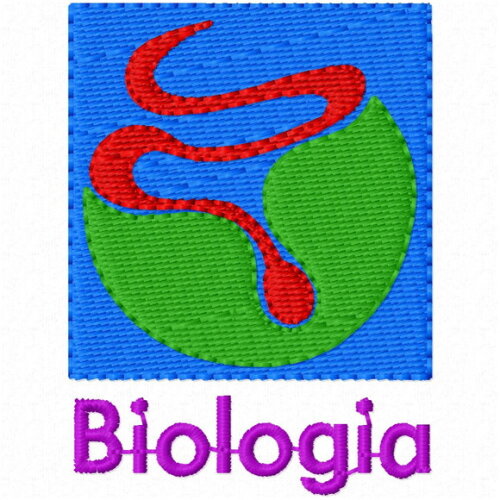 Matriz de Bordado Pedagogia Brinde 850 Matrizes Profissoes