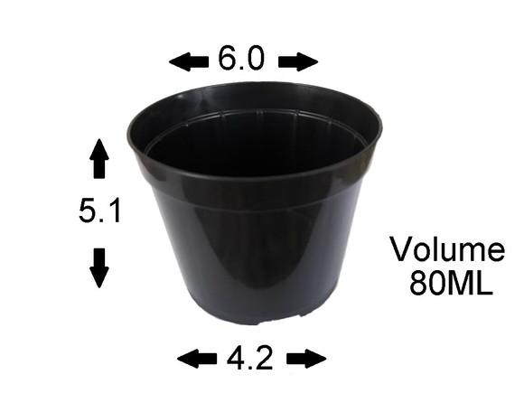 20unidades Vaso para mini suculenta - Pote 06