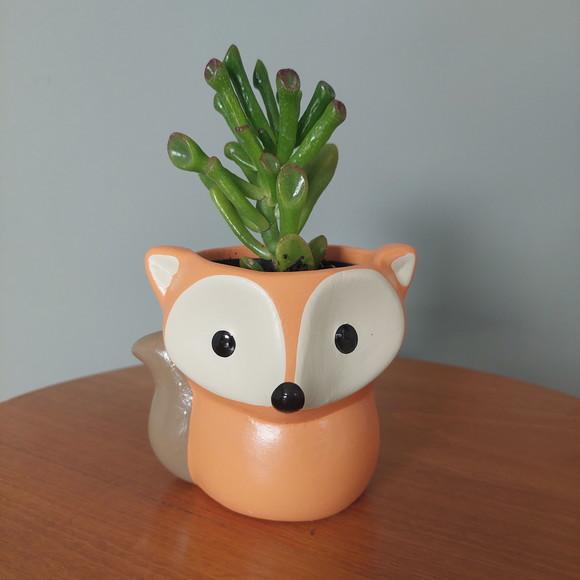 Vaso Cachepot Cerâmica Raposa para Suculentas Cactos
