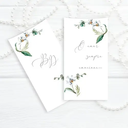 Lágrimas de Alegria Casamento