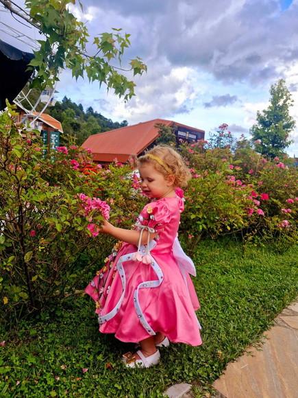 Vestido Luxo Princesa Alice