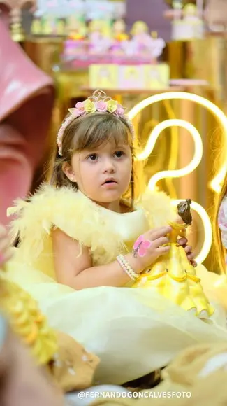 Tiara Coroa Flores Princesa Disney