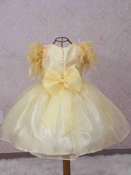 Vestido Amarelo Pluma Princesa Disney