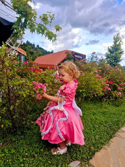 Vestido Luxo Princesa Alice