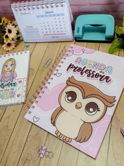 Agenda da Professora