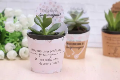 20 Saia para Suculenta